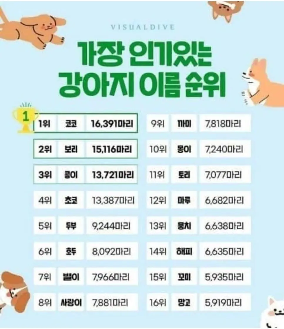 강아지 이름 인기순위 | mbong.kr 엠봉