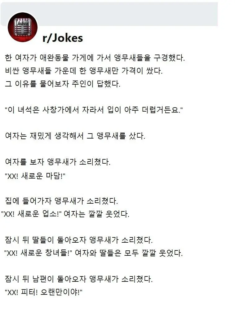 사창가에서 자란 앵무새를 입양했더니 | mbong.kr 엠봉