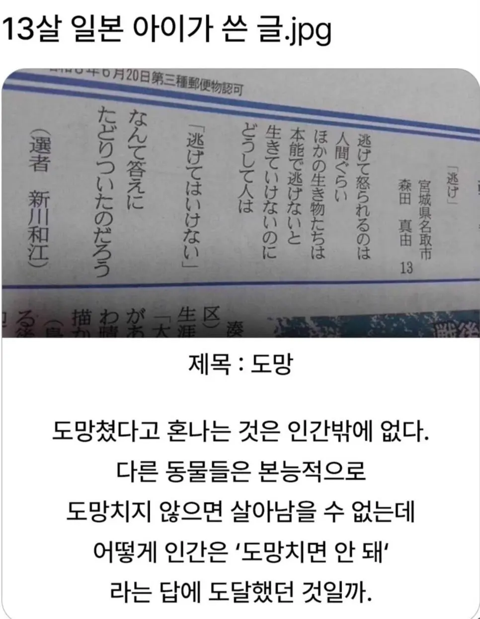 13살 일본아이가 쓴 시.. | mbong.kr 엠봉