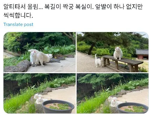 JI5JX.webp