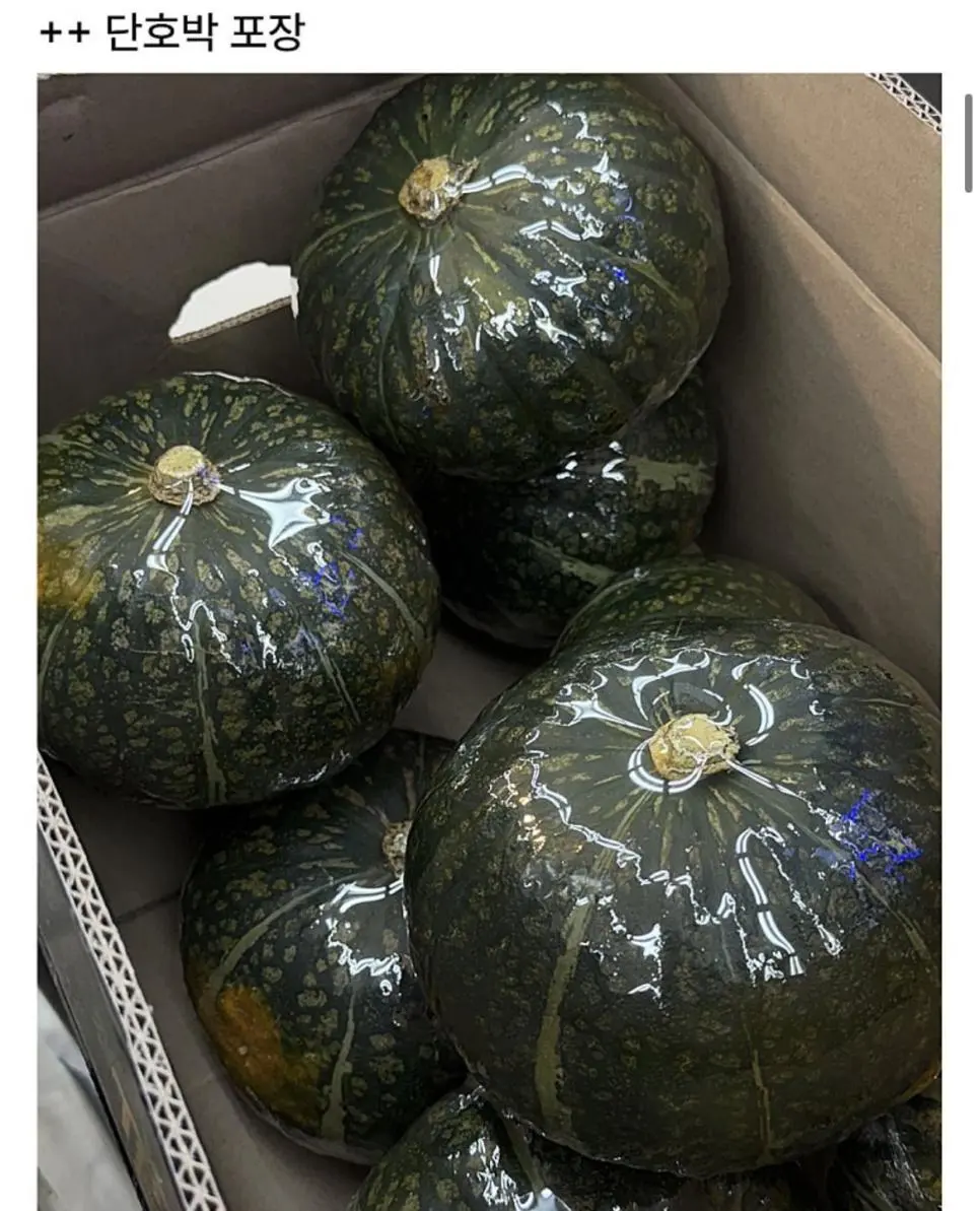 JKEG7.webp