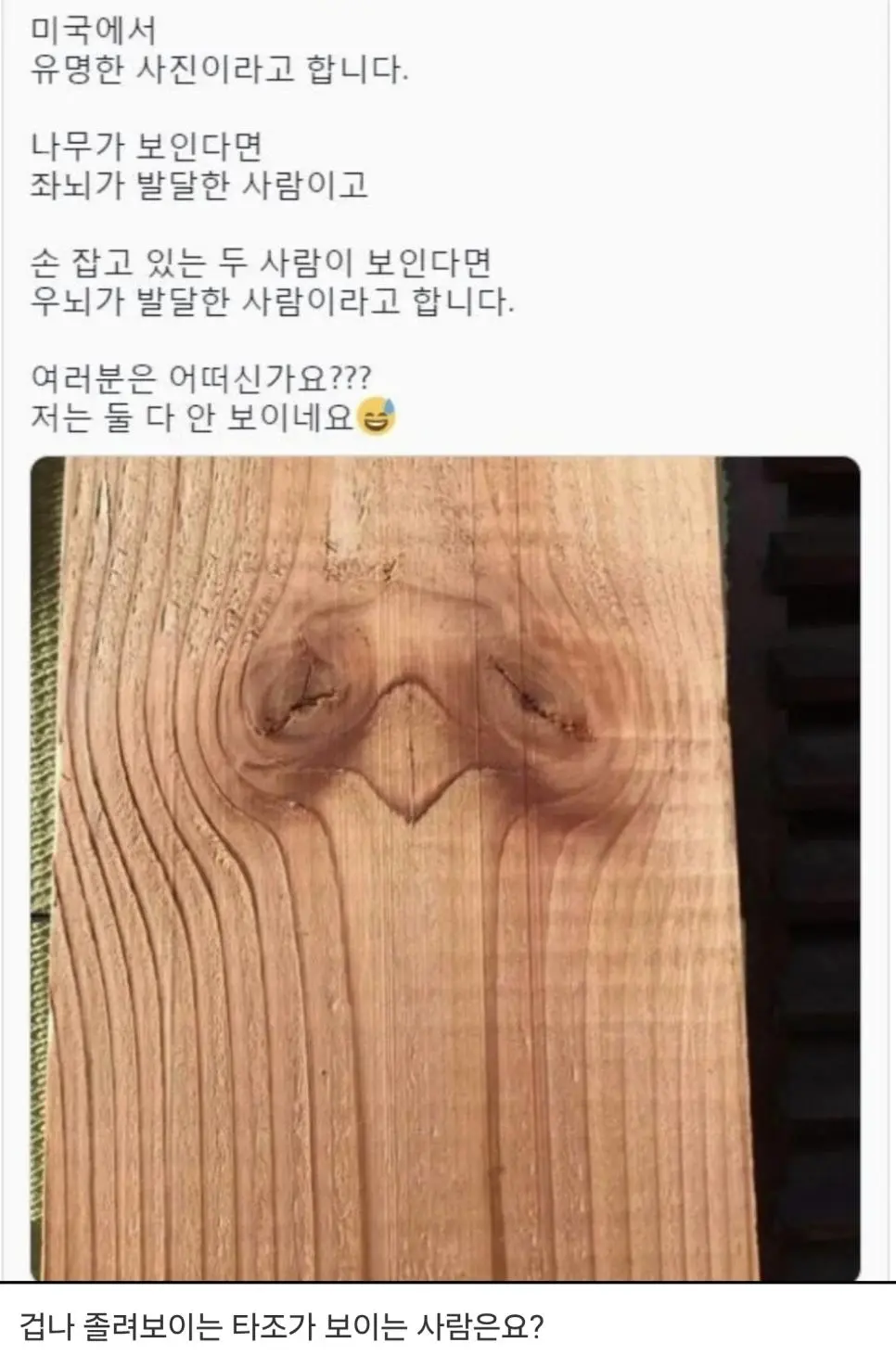 미국에서 유명하다는 사진 | mbong.kr 엠봉