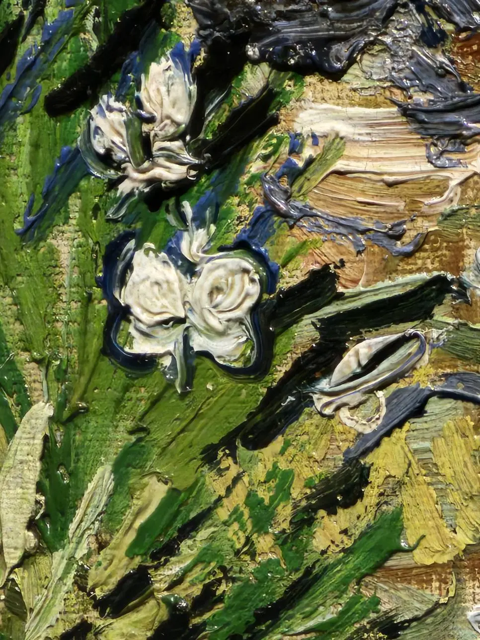 JMWRB.webp