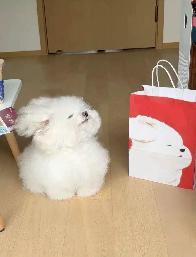 누가모델인가 모르겠네 | mbong.kr 엠봉