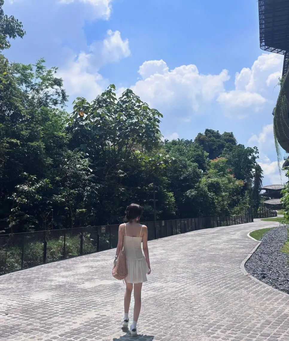 JPZ6k.webp