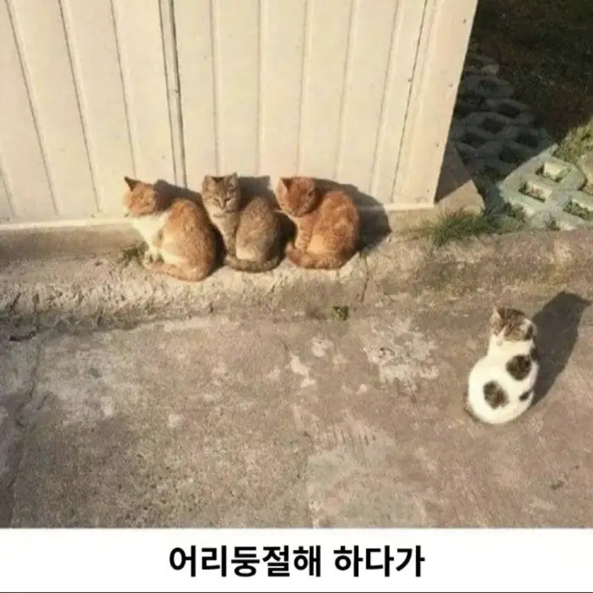 JQizI.webp