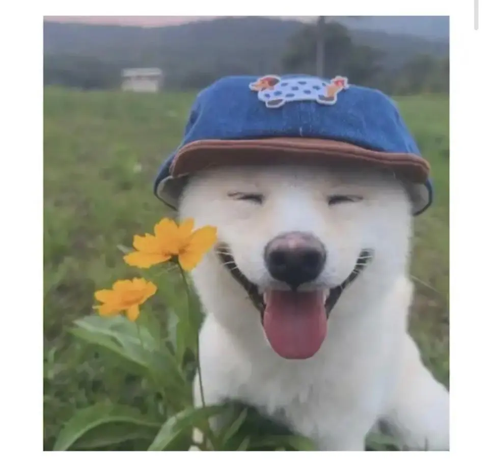 JVxos.webp