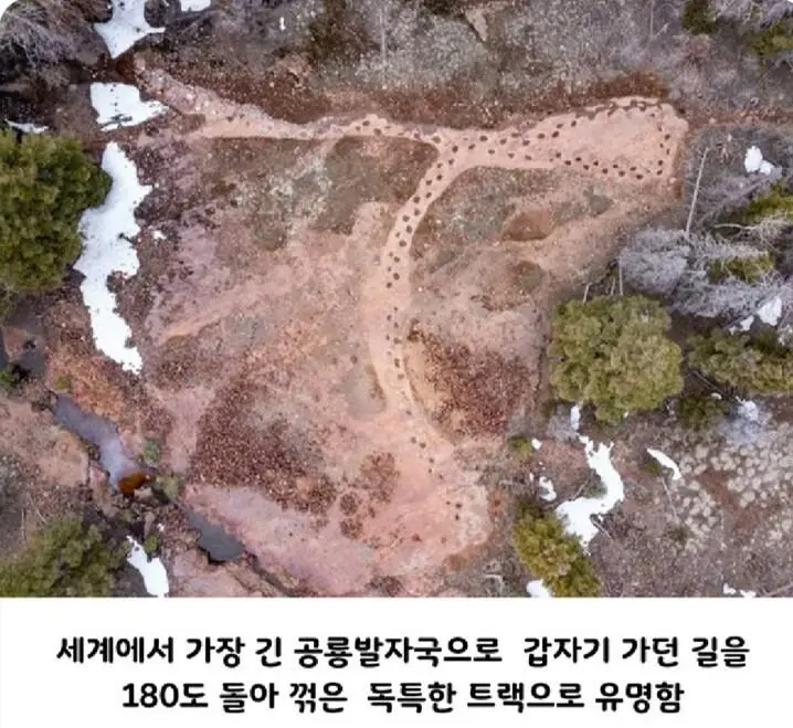 고민이 많아 보였던 공룡의 발자국.jpg | mbong.kr 엠봉