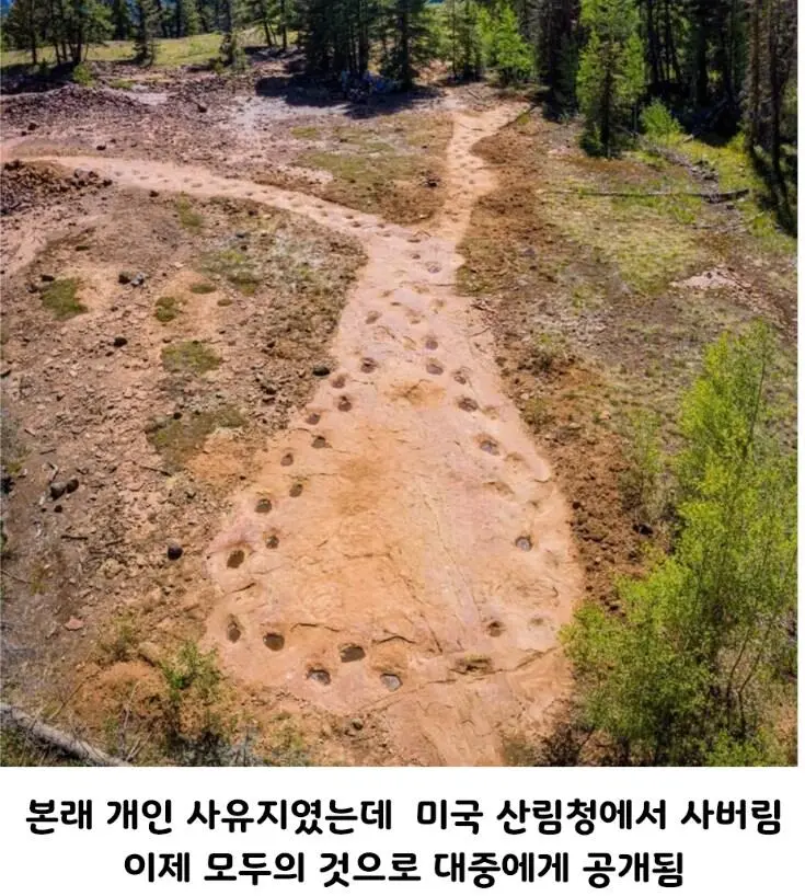 고민이 많아 보였던 공룡의 발자국.jpg | mbong.kr 엠봉