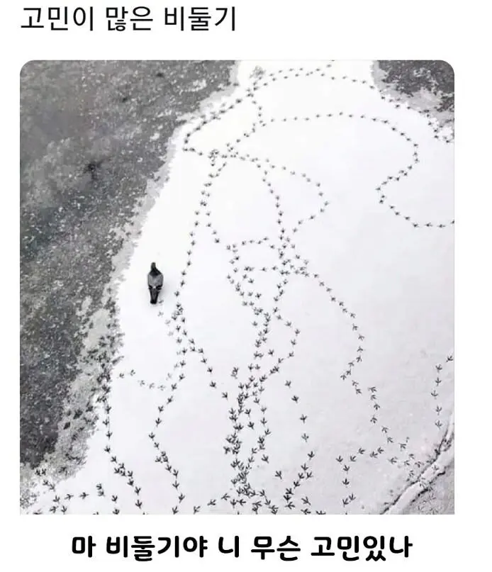 고민이 많아 보였던 공룡의 발자국.jpg | mbong.kr 엠봉