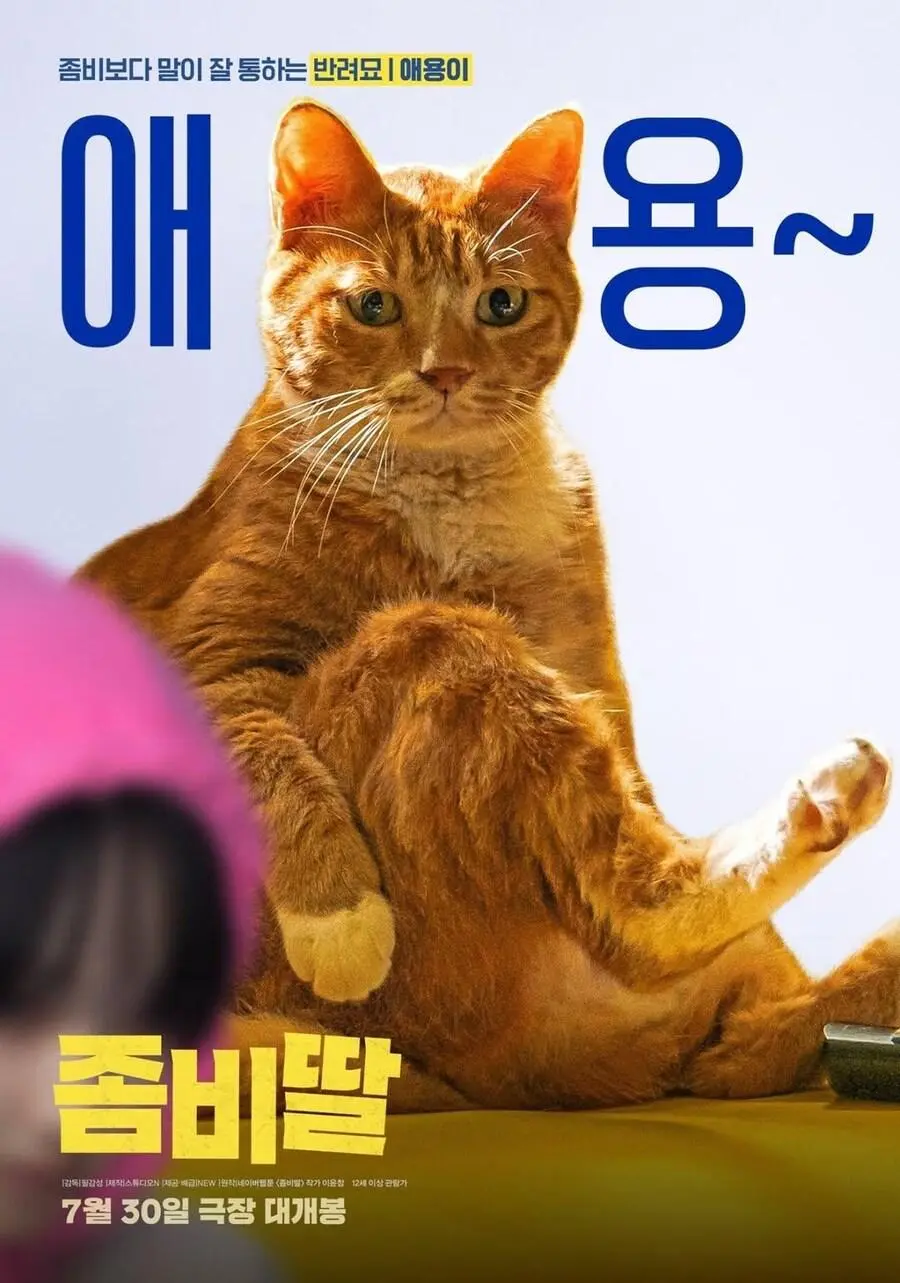 JXPHr.webp