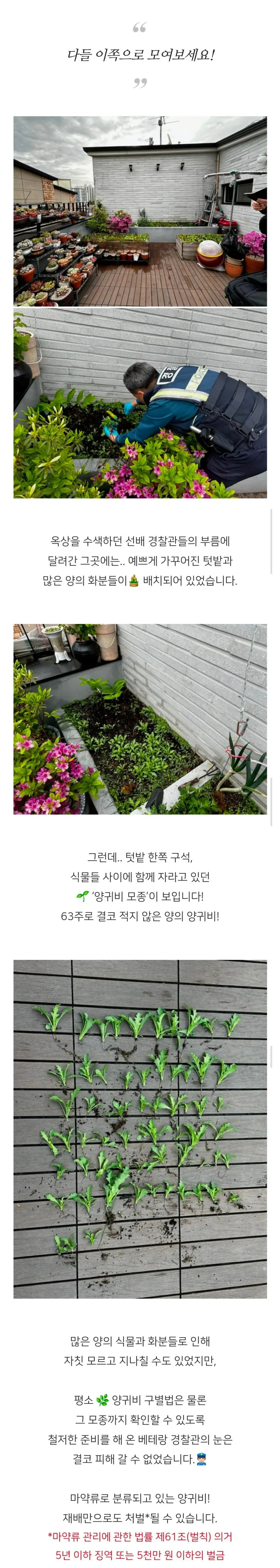 JYCpt.webp