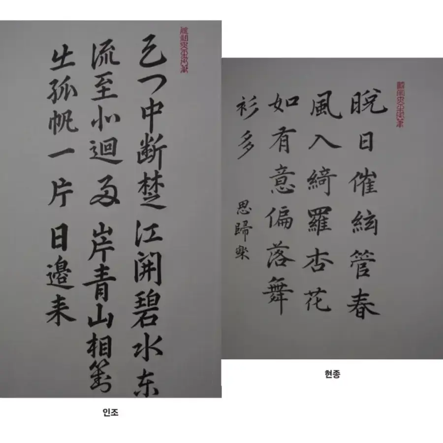 JYLcj.webp