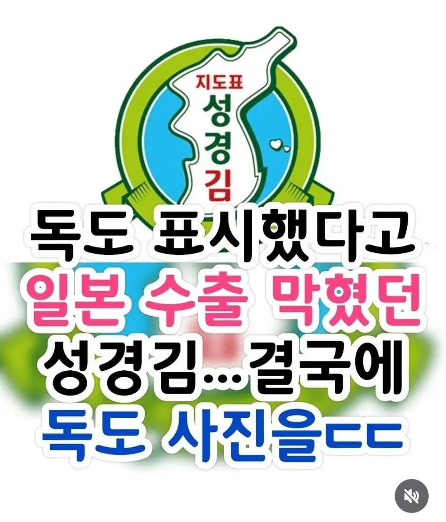 독도 표시 했다고 일본 수출 막혔던 성경김 근황 | mbong.kr 엠봉