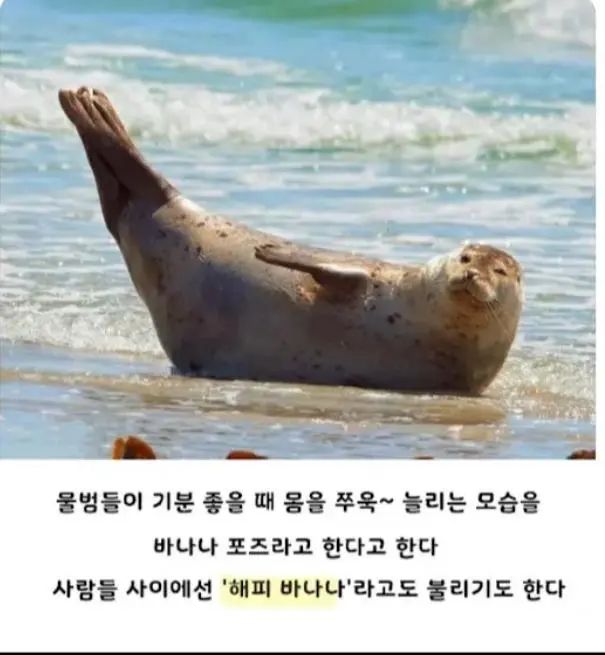 JZzng.webp