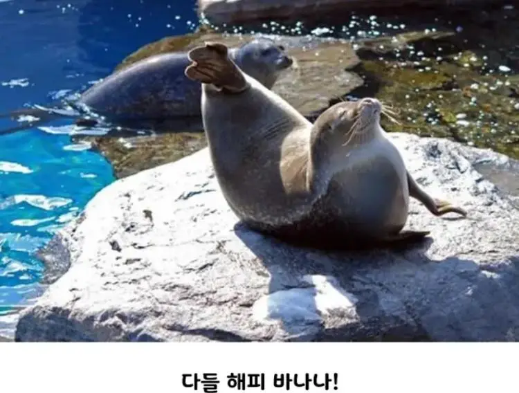 JZznm.webp