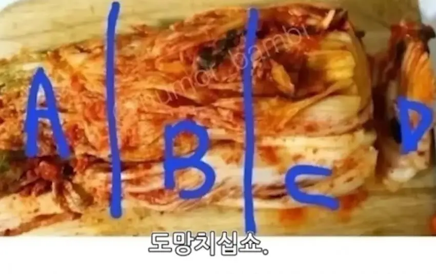 JbB8P.webp