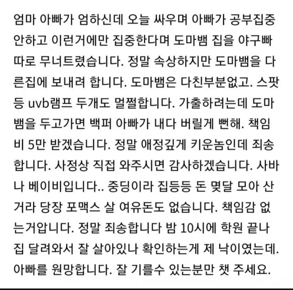 도마뱀 좋아하는 중학생이 당한 정신적 상처 | mbong.kr 엠봉