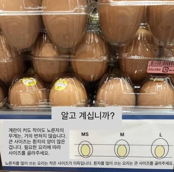 계란 고르는 꿀팁 | mbong.kr 엠봉