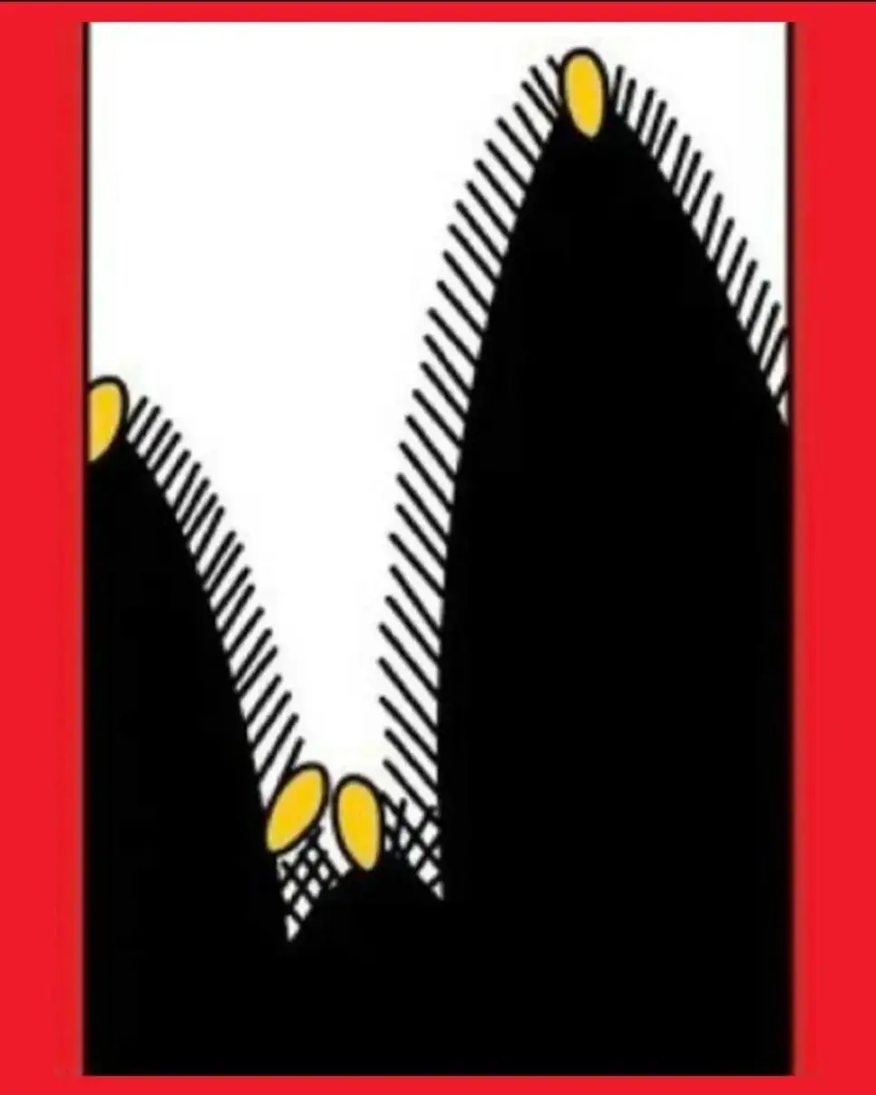 털이 이상하게 자란 강아지 | 인스티즈