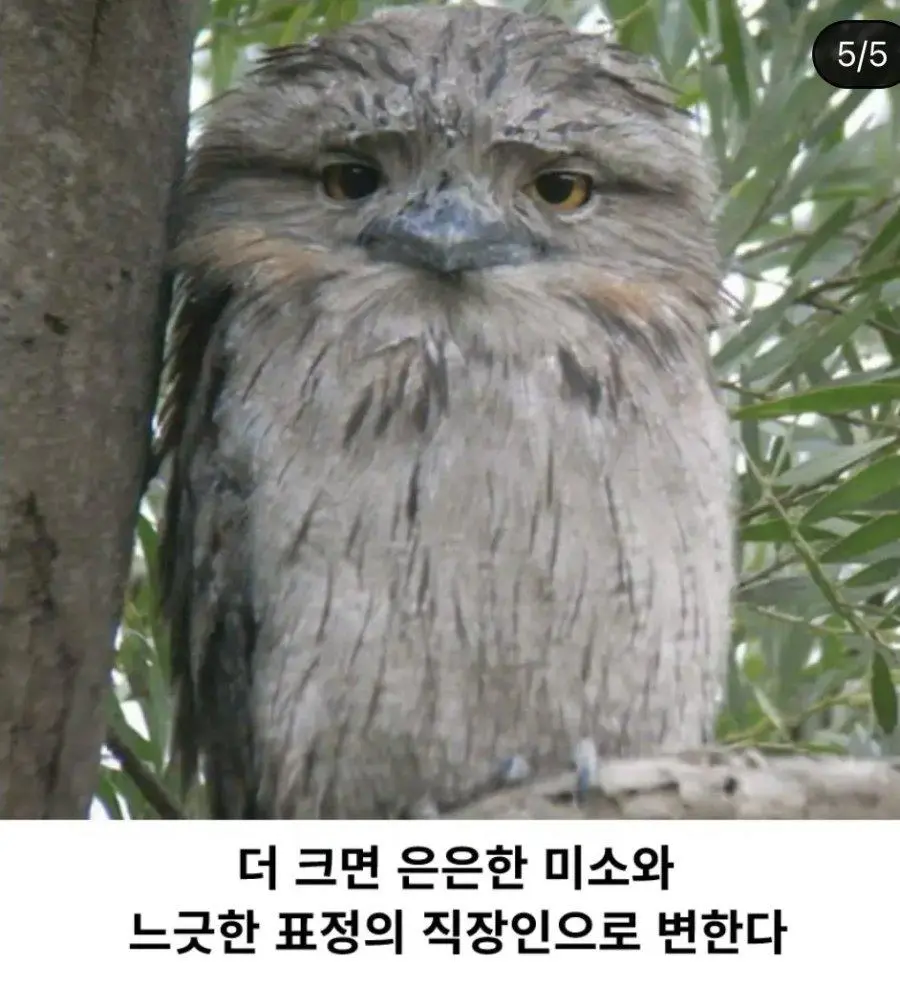 JghwV.webp