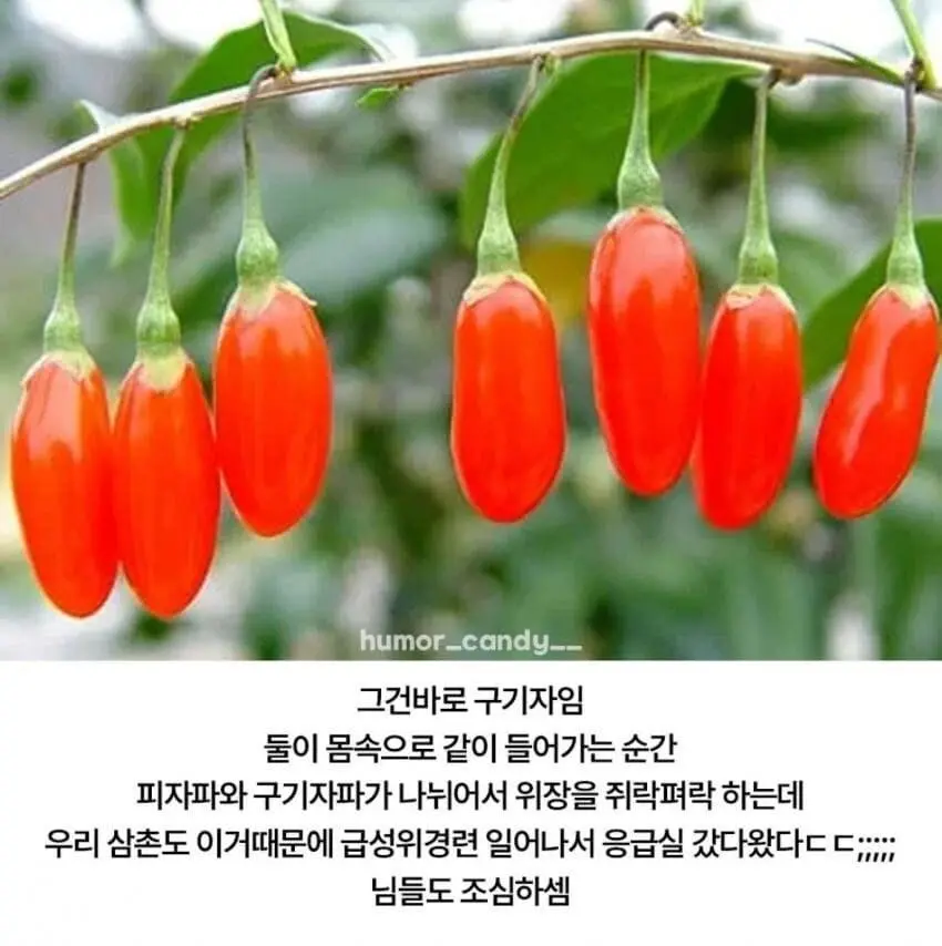 JhFCB.webp