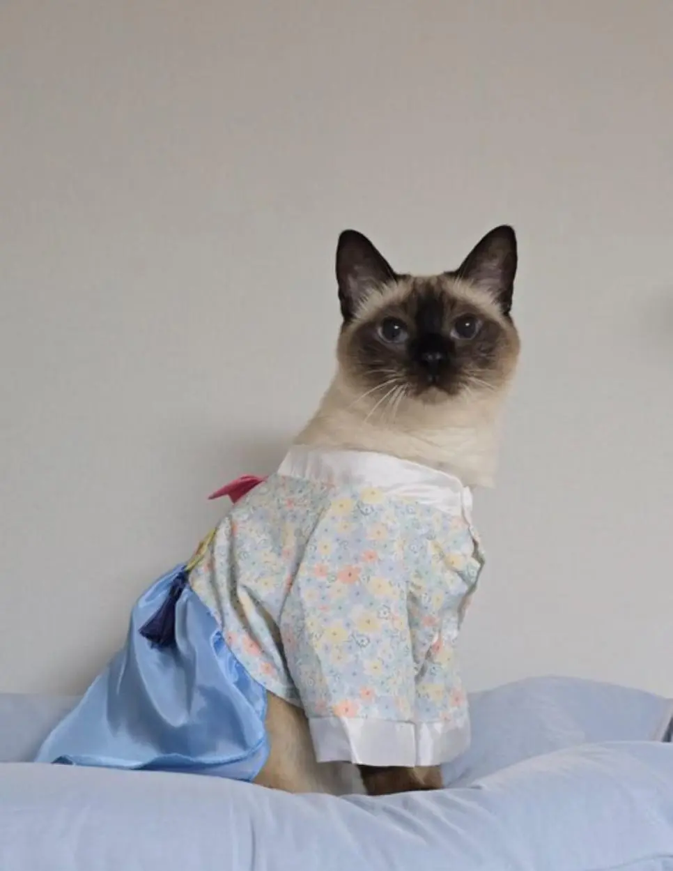 JiUwr.webp