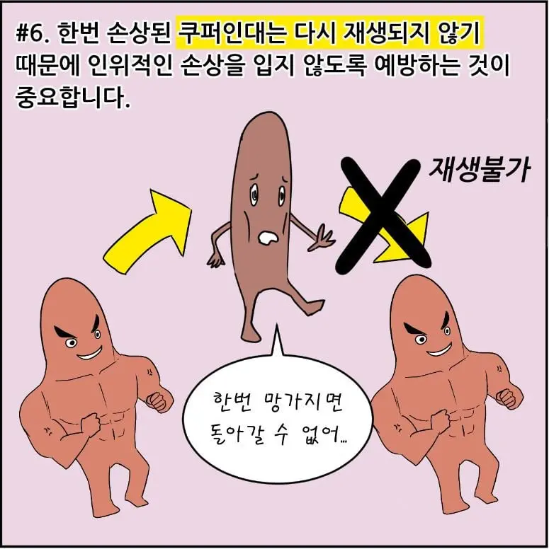 JjlIp.webp