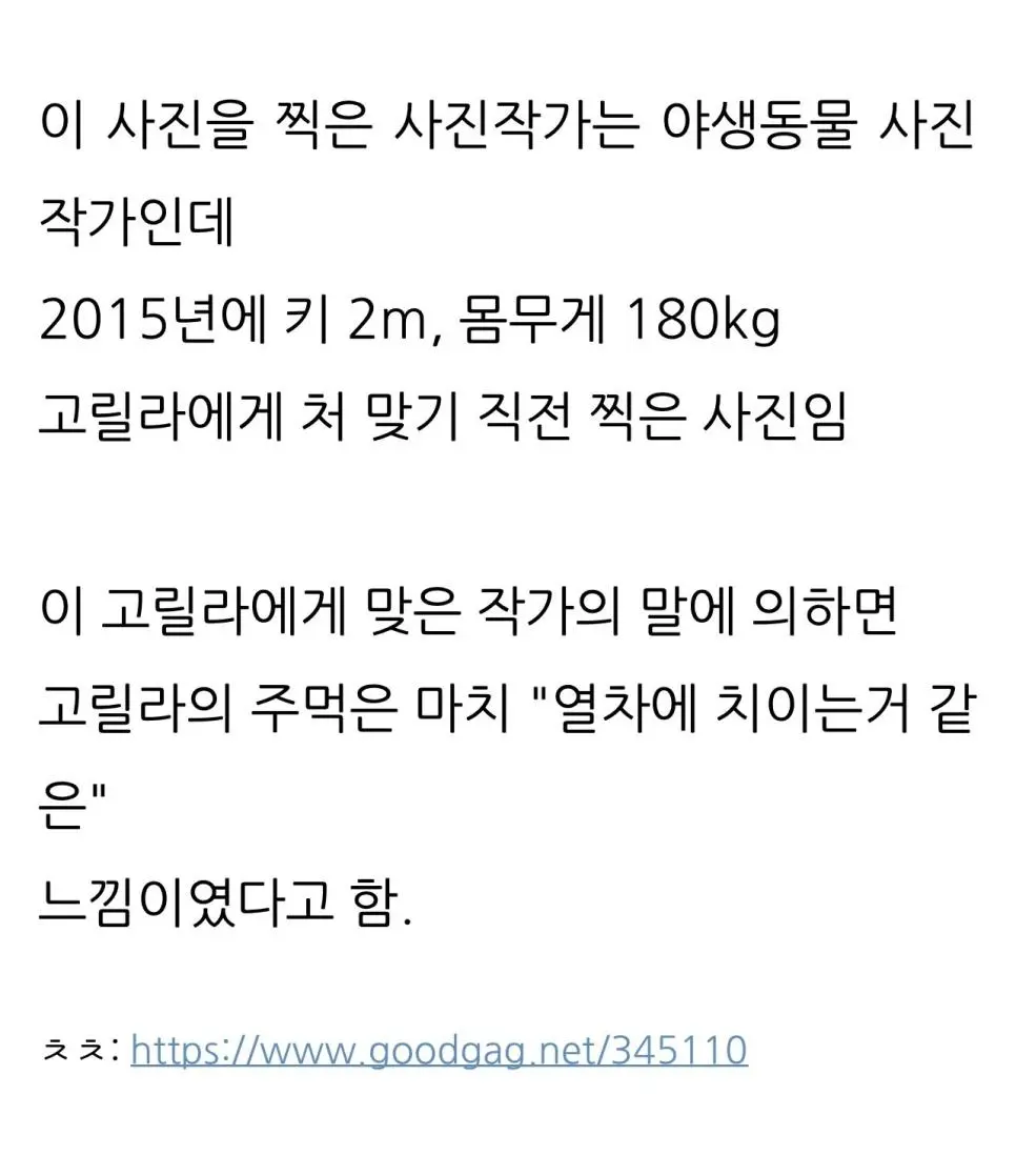 JkxTn.webp