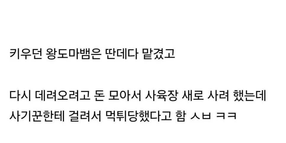 도마뱀 좋아하는 중학생이 당한 정신적 상처 | mbong.kr 엠봉