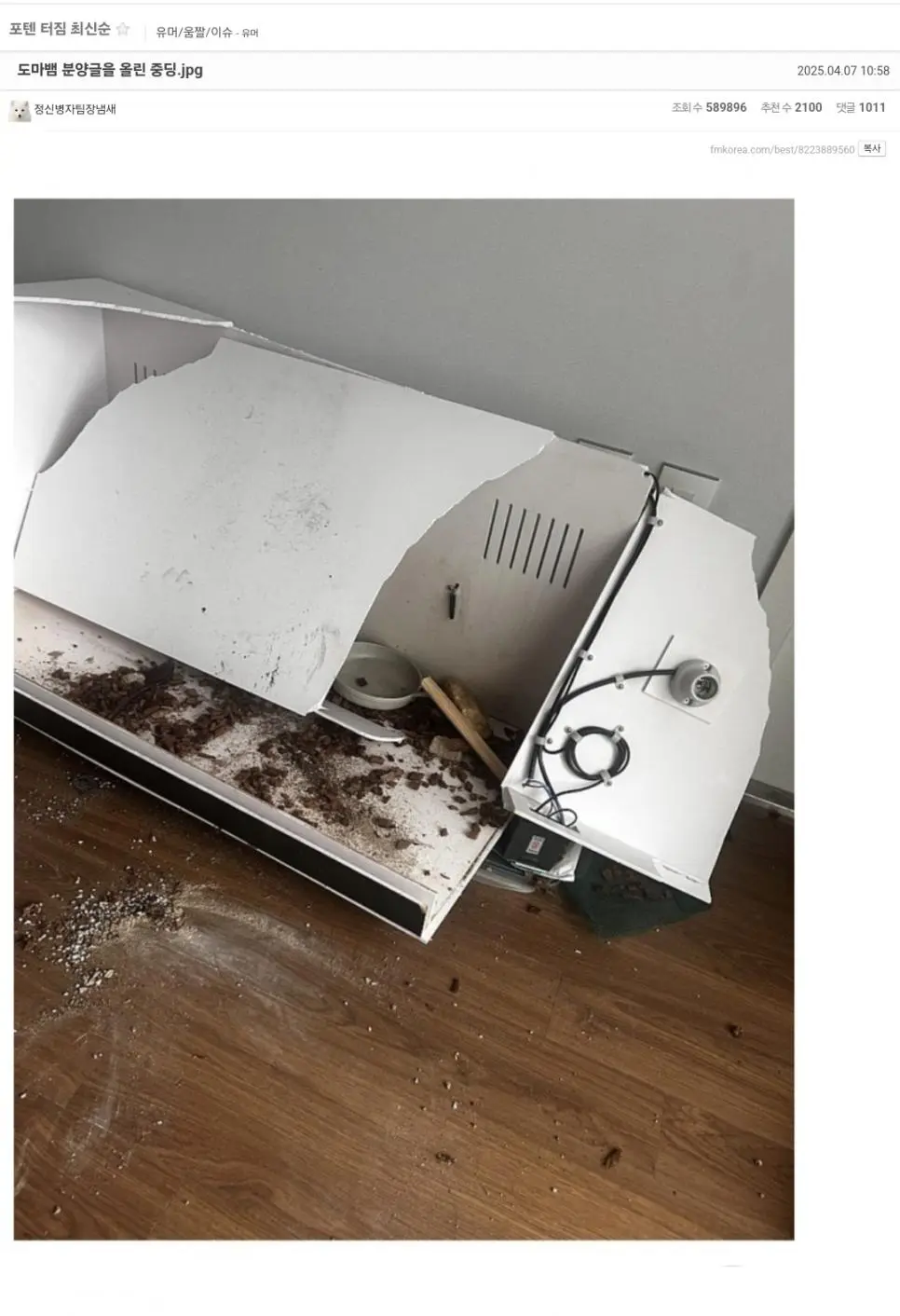 도마뱀 좋아하는 중학생이 당한 정신적 상처 | mbong.kr 엠봉