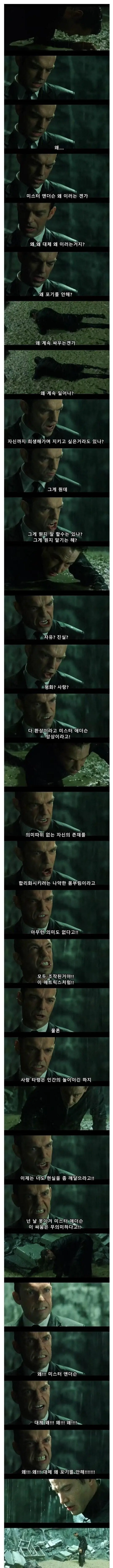 매트릭스 시리즈의 주제를 함축한 명대사.jpg | 인스티즈