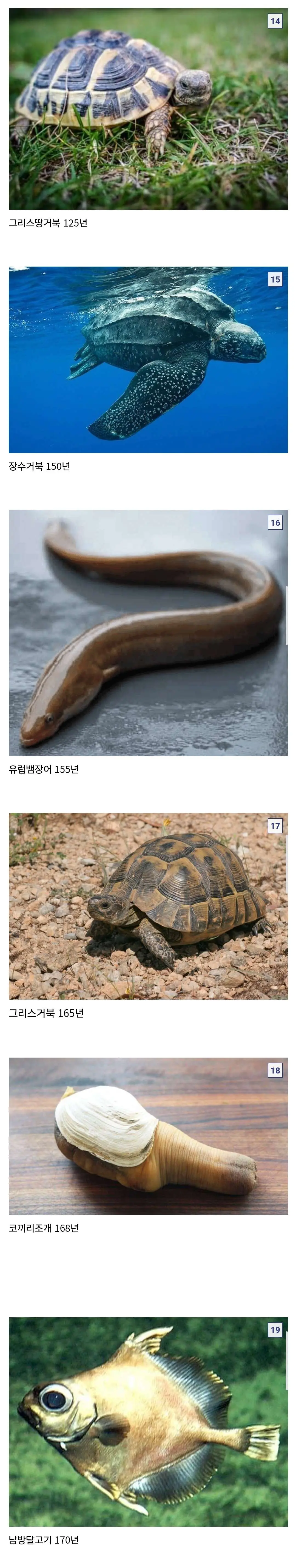 JnMAn.webp