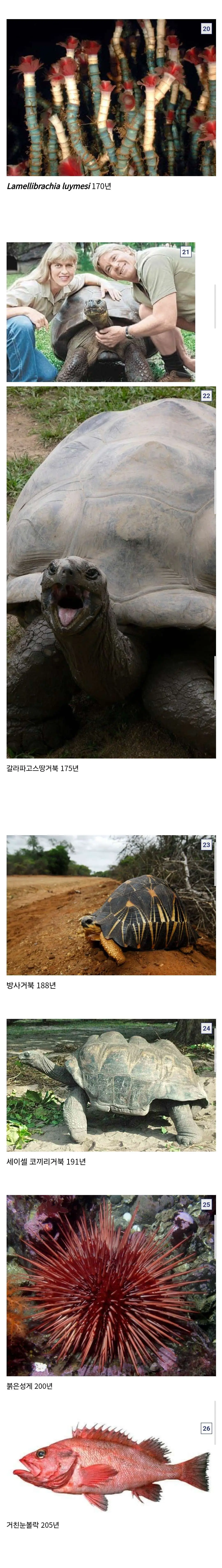 JnMAp.webp