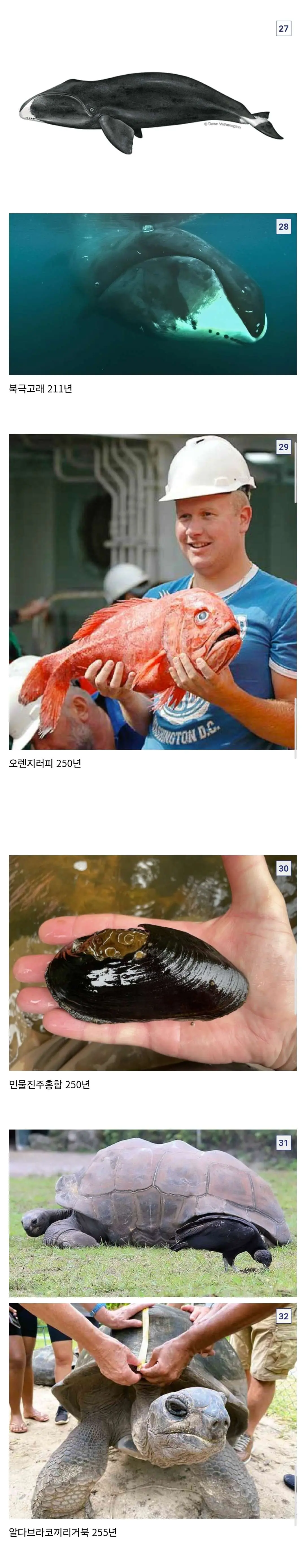 JnMAx.webp
