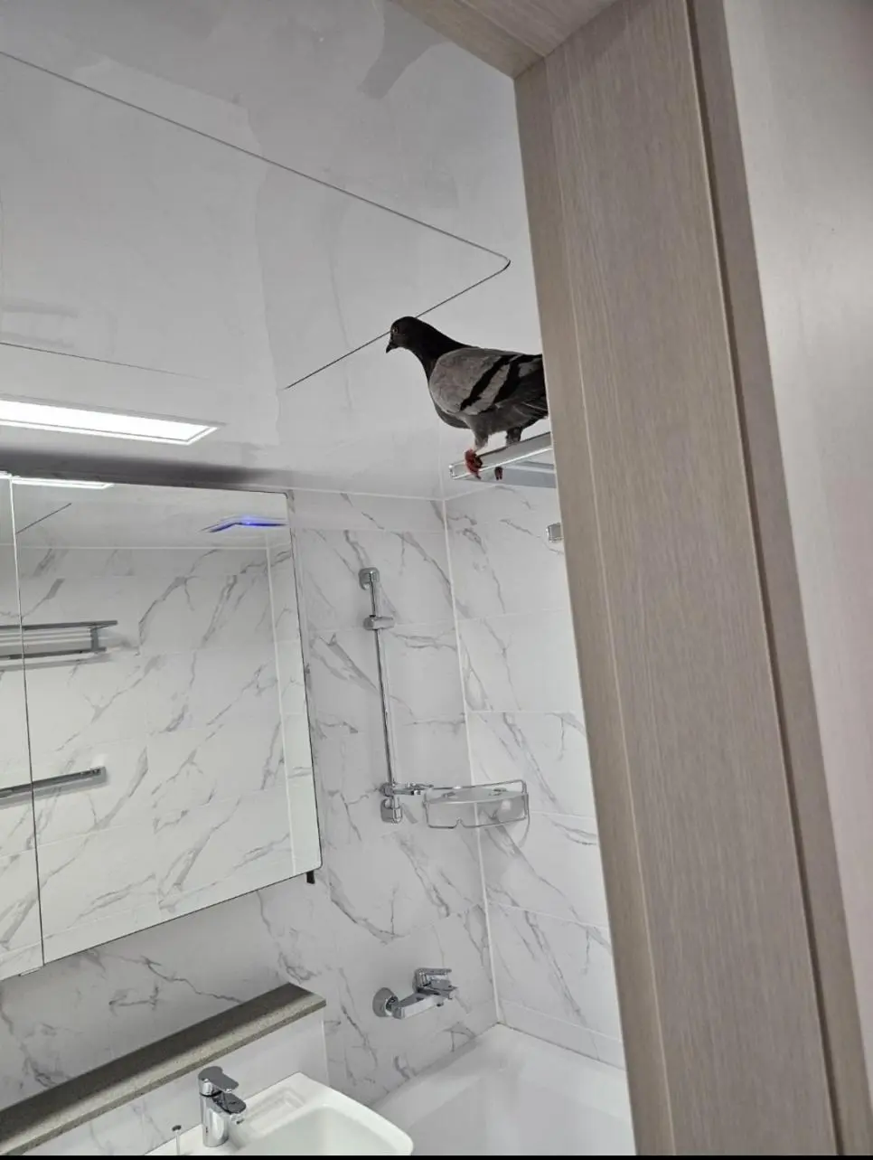 요즘 새 아파트 근황 | 인스티즈