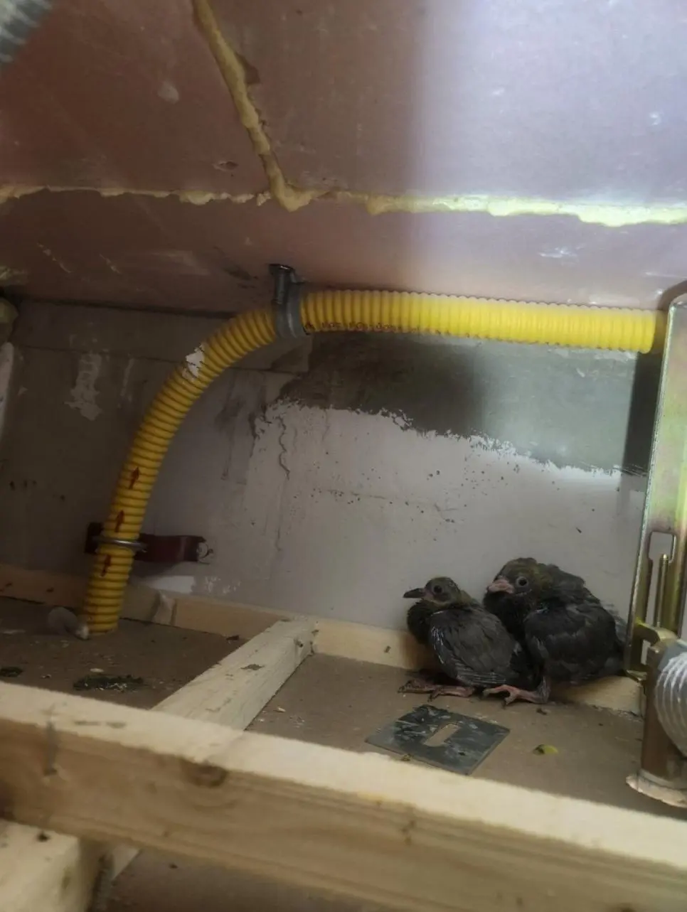 요즘 새 아파트 근황 | 인스티즈