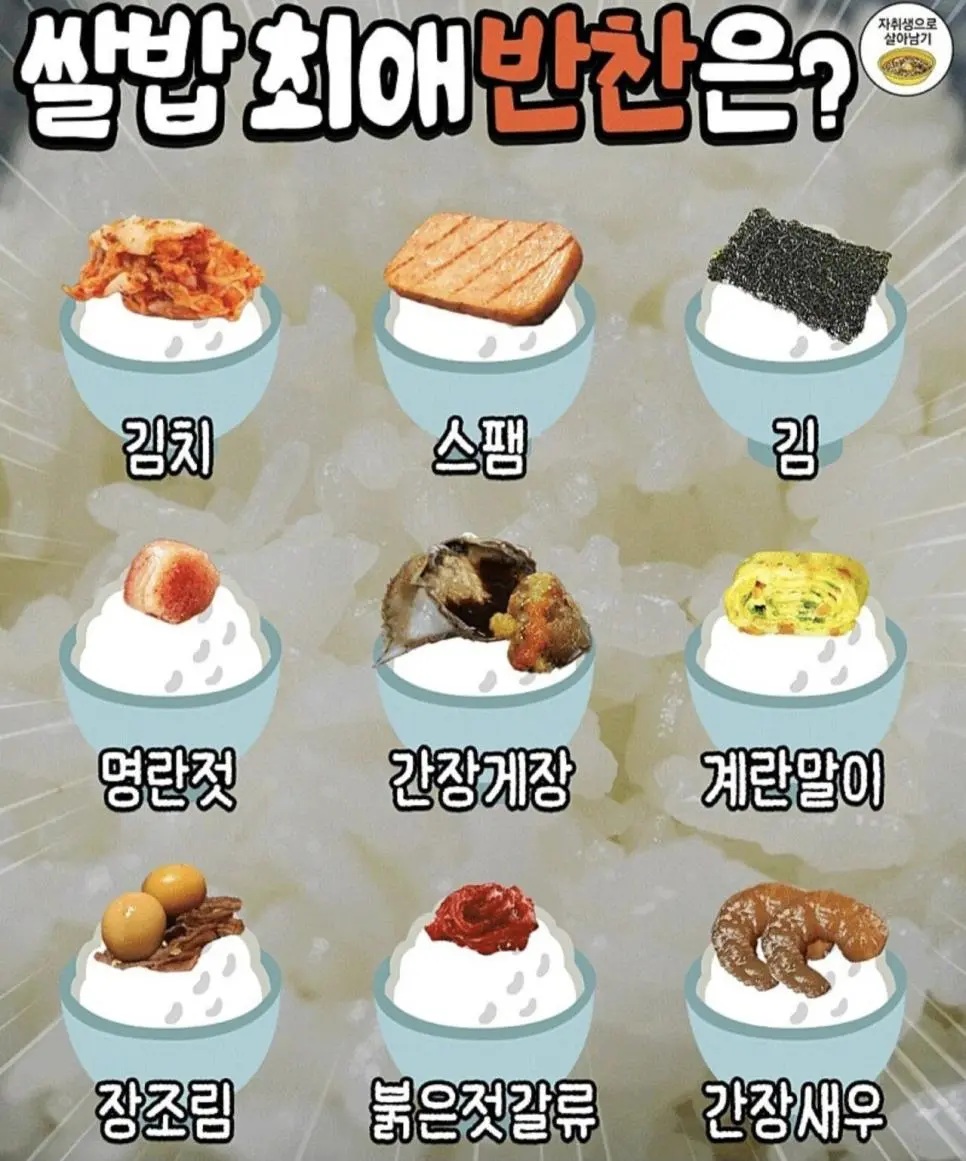 쌀밥 최애 반찬은? | 인스티즈