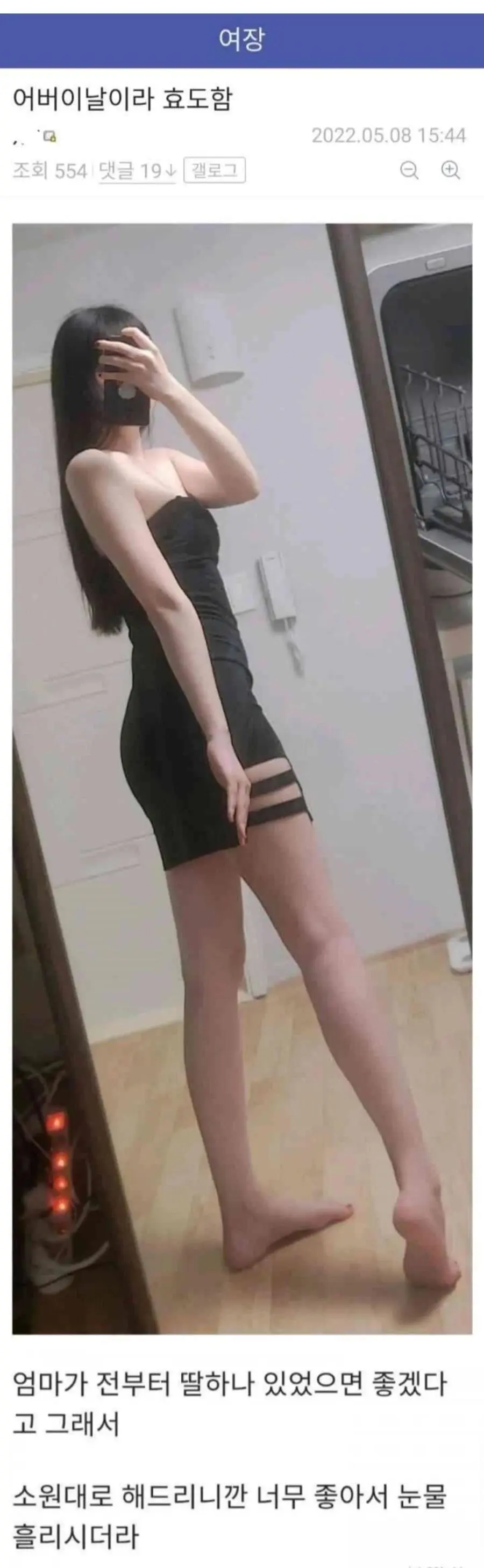 어버이날 효도한 디씨인 인증.jpg | mbong.kr 엠봉