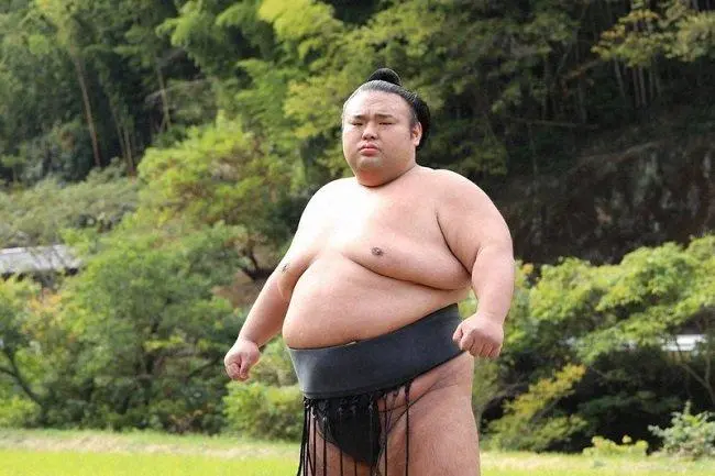 1년만에 살 엄청 빠진 일본의 유명 스모선수... | mbong.kr 엠봉