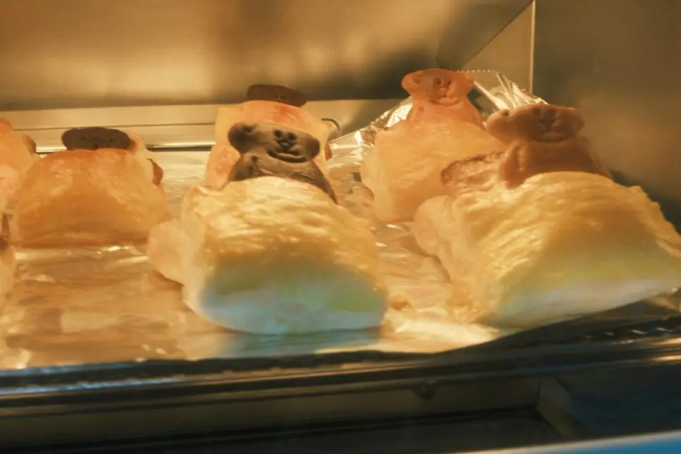 곰돌이 자장자장 쿠키 만들었는데 | 인스티즈