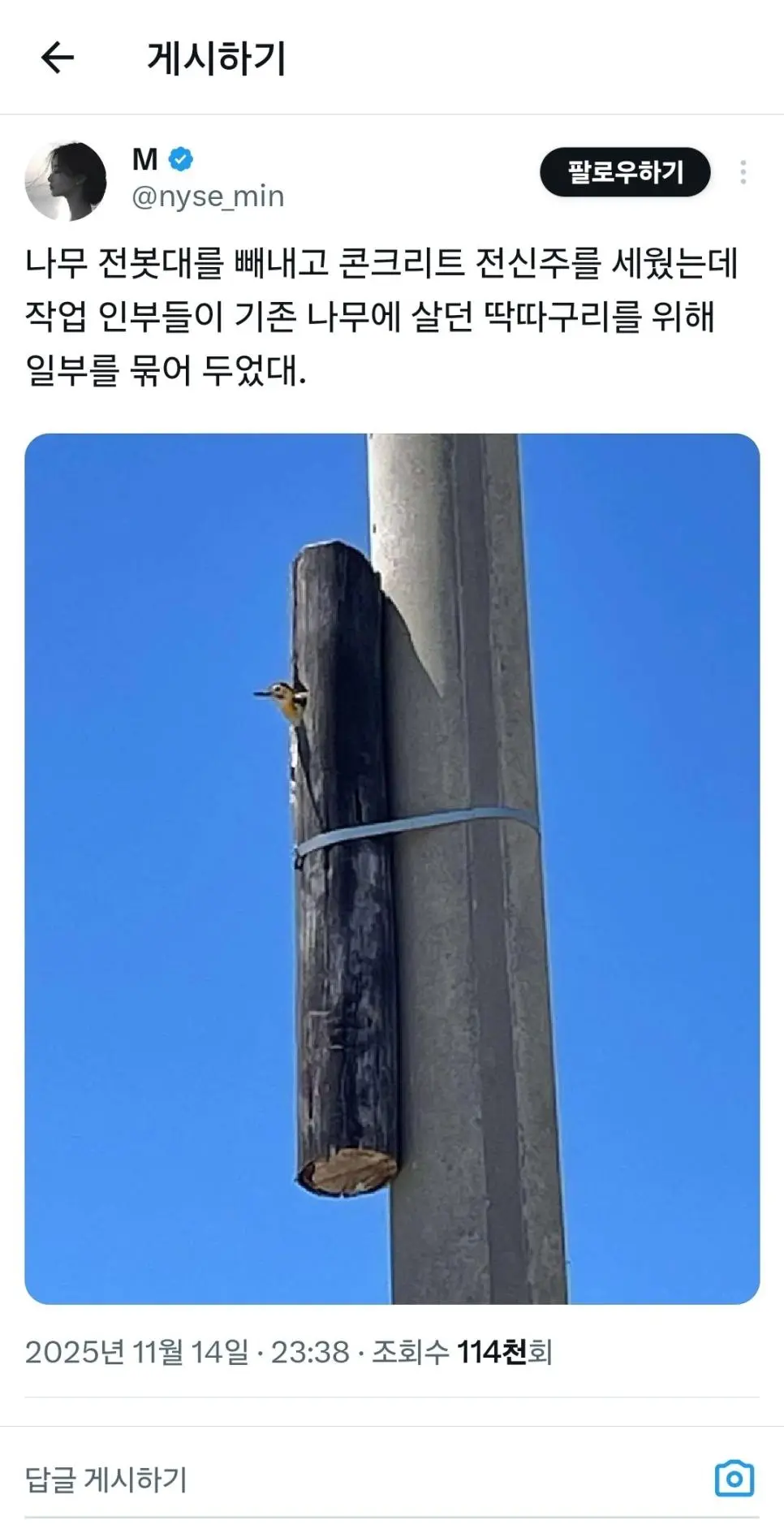 딱따구리용 전신주 | 인스티즈