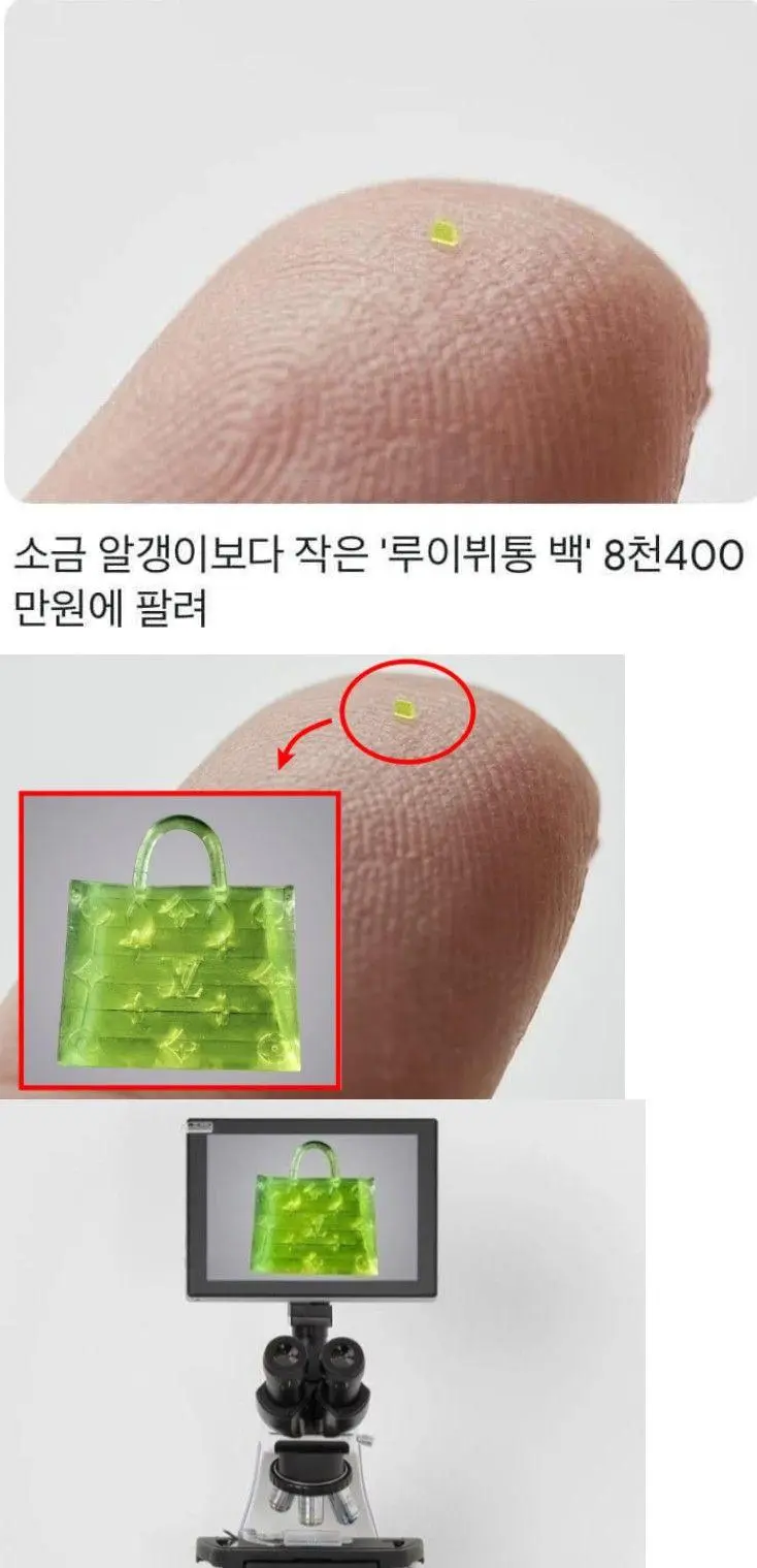 8천 400만원 짜리 루이뷔통 가방 클라스....jpg | 인스티즈