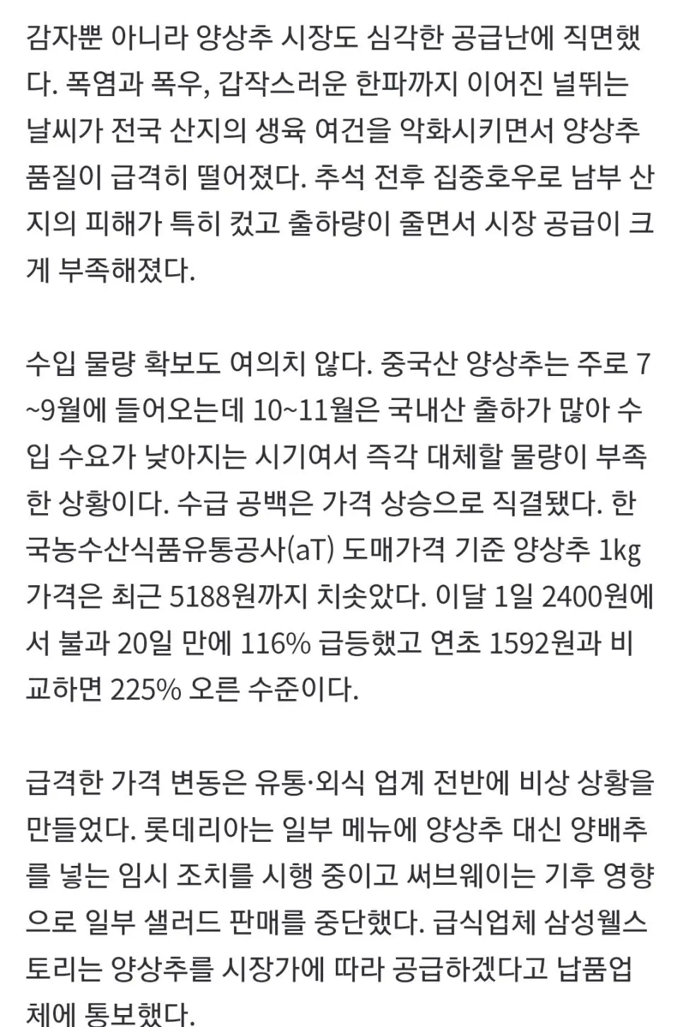 햄버거 안에 양상추 대신 양배추가? 양상추 대란.jpg | 인스티즈