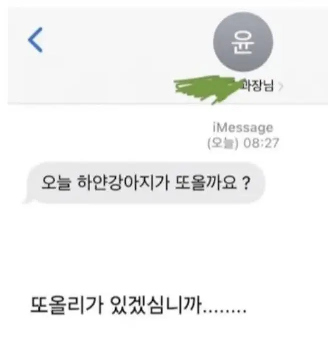 강아지를 회사에 데려간 직원.jpg | 인스티즈