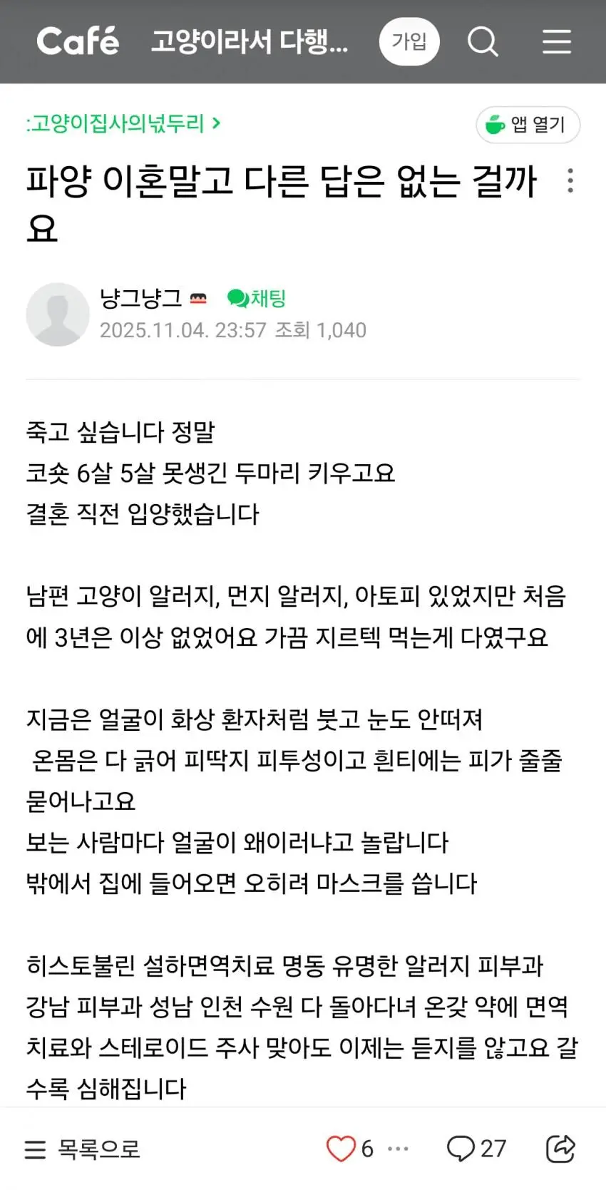 고양이 카페에 올라온 고민 상담... | 인스티즈