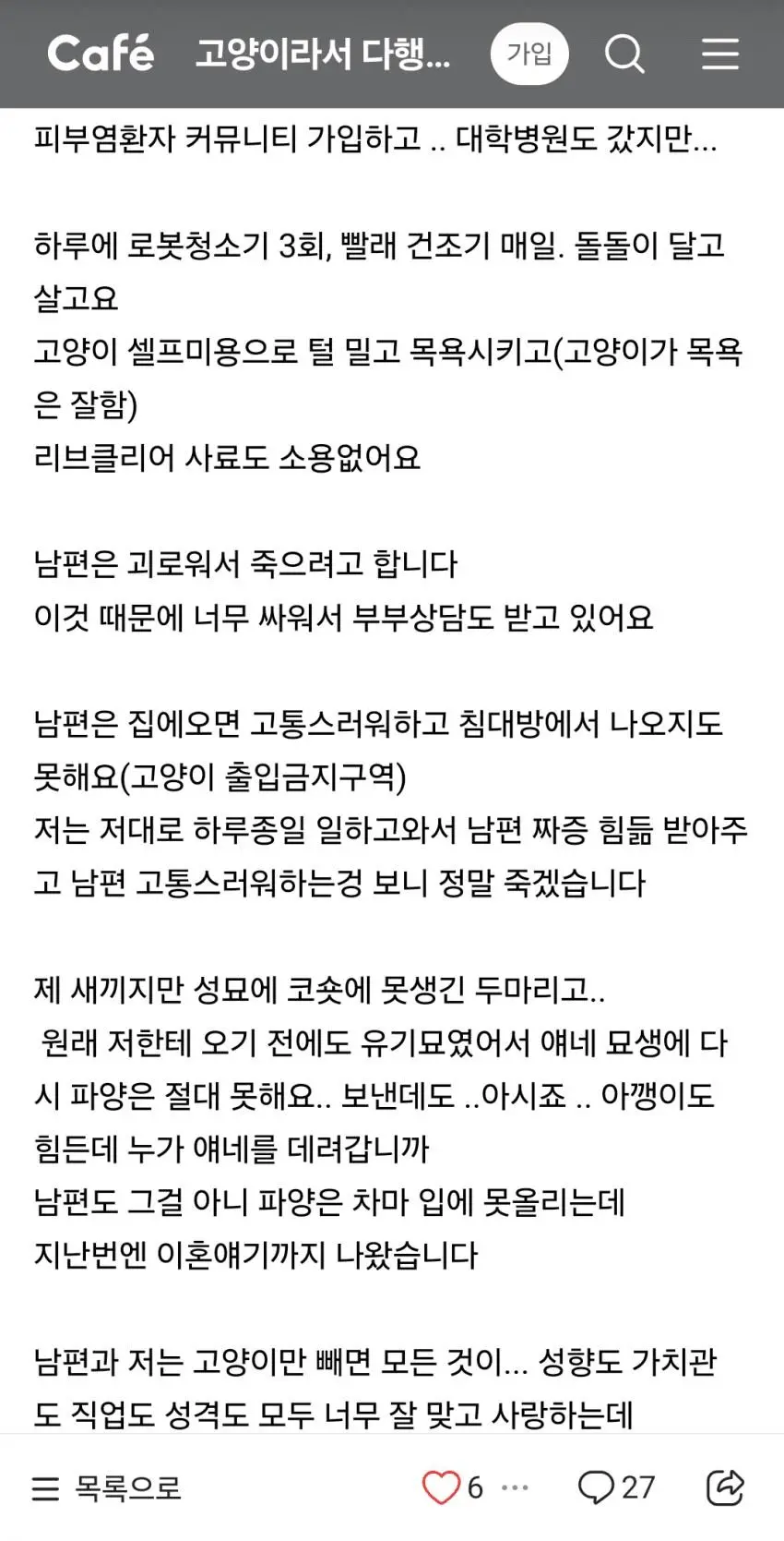 고양이 카페에 올라온 고민 상담... | 인스티즈