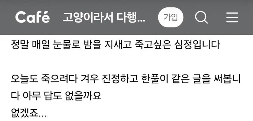 고양이 카페에 올라온 고민 상담... | 인스티즈