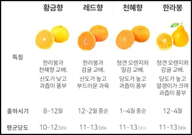 귤 가족.jpg | 인스티즈