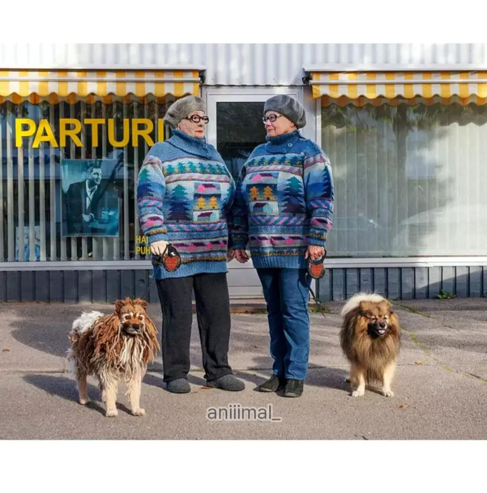 뜨개질 썩은물 | mbong.kr 엠봉